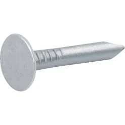 Clous à tête plate en acier galvanisé 3x20 - 2kg-Diall Best