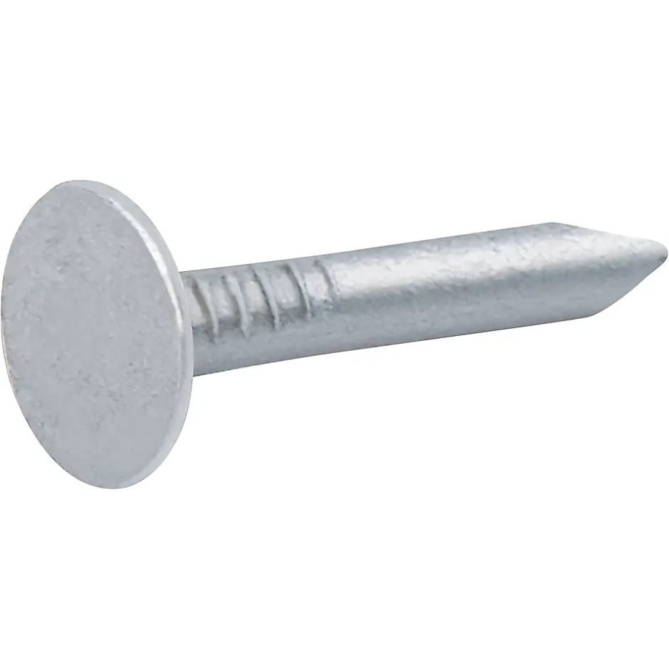 Clous à tête plate en acier galvanisé 3x20 - 2kg-Diall Best