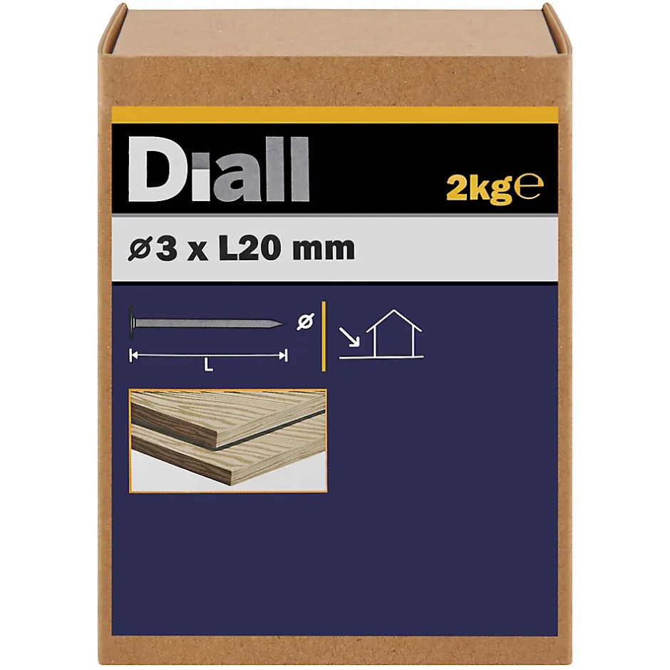 Clous à tête plate en acier galvanisé 3x20 - 2kg-Diall Best