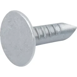 Clous à tête plate en acier galvanisé 3x12 - 1kg^Diall Hot