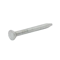 Clous de maçon en acier galvanisé ∅2,5 x25mm - 125g^Diall New