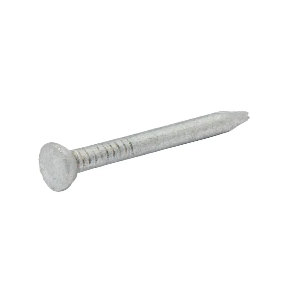 Clous de maçon en acier galvanisé ∅2,5 x25mm - 125g^Diall New