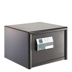 Coffre-fort Combi-line CL 420 E-Burg-Wachter New