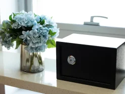 Coffre-fort mécanique - 16L 1.5-4MM S L-Smith & Locke Outlet