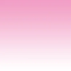 Colle papier peint avec indicateur coloré 10kg-Quelyd Outlet