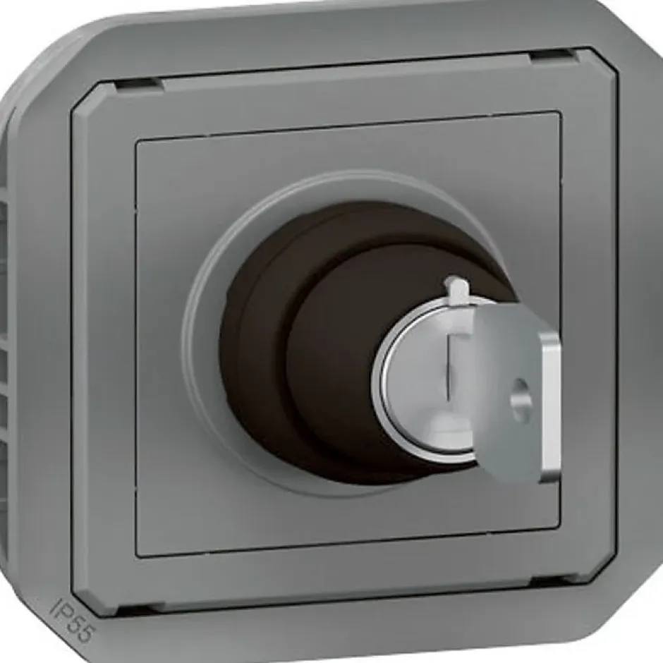 Commande à clé - Plexo -^Legrand Online