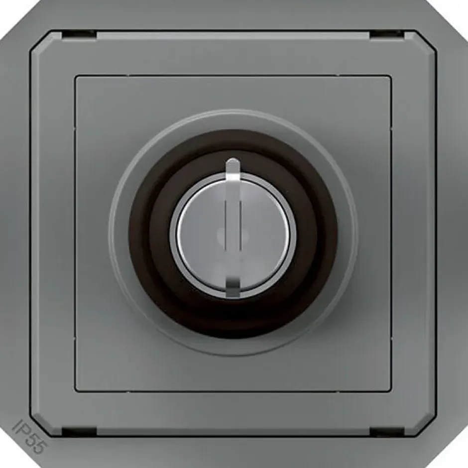 Commande à clé - Plexo -^Legrand Online