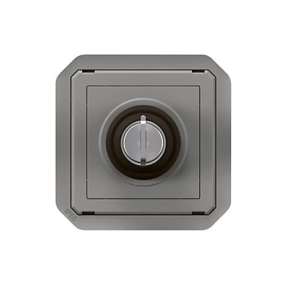 Commande à clé - Plexo -^Legrand Online