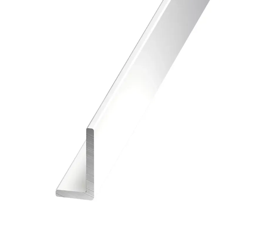 Cornière inégale aluminium laqué blanc 30 x 20 mm, 1 m^CQFD New
