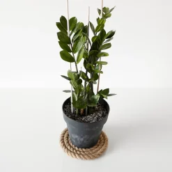 5m Corde de Jute Epaisseur 20mm - Personnalisation Possible Tous les 5m - Corde Solide - Torsadé Fibres Naturelles^Creative Deco Discount