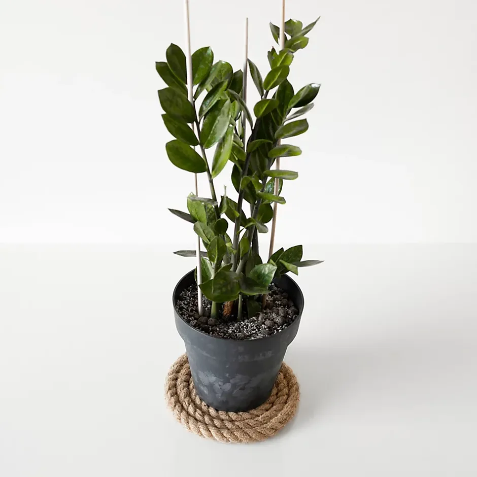 5m Corde de Jute Epaisseur 20mm - Personnalisation Possible Tous les 5m - Corde Solide - Torsadé Fibres Naturelles^Creative Deco Discount