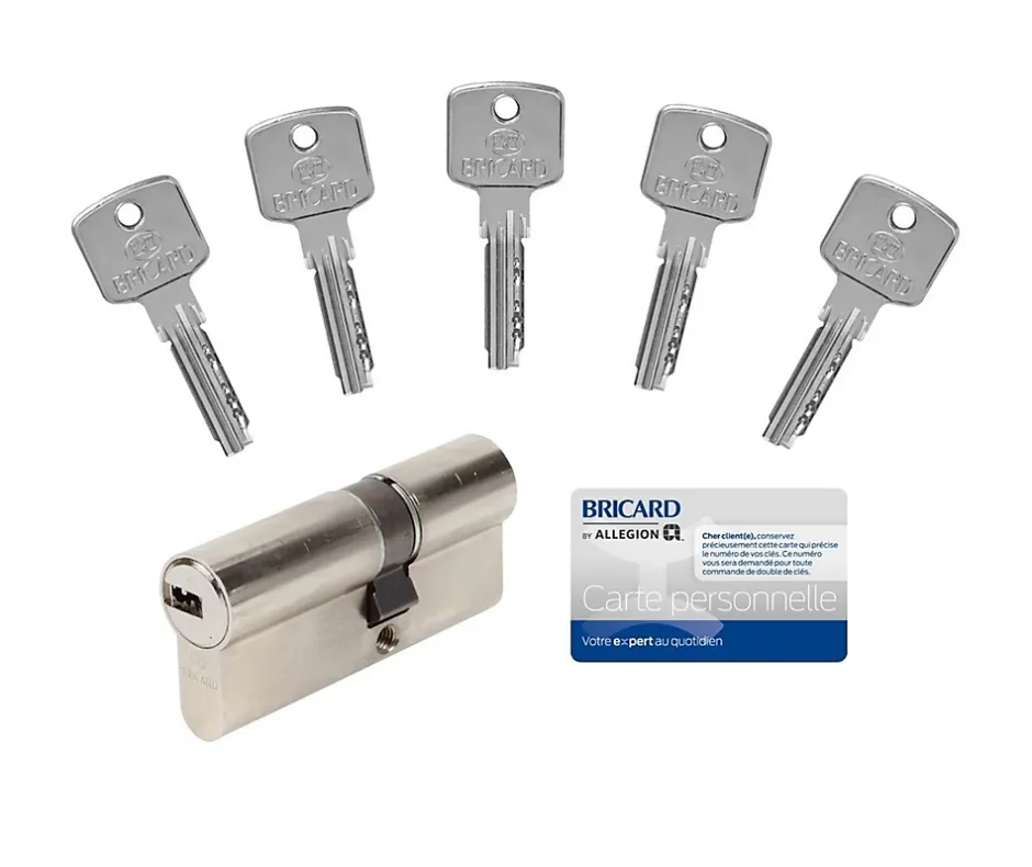 Cylindre 6 goupilles dimensions 30+40 débrayable nickelé + 5 clés réversibles-Bricard Best
