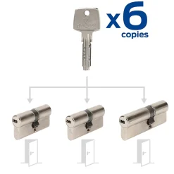 Cylindre débrayable 30+30/30+30/30+40 avec 6 clés-Bricard Sale