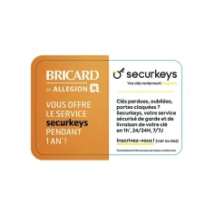 Cylindre débrayable mistral à 2 entrées 30x40 mm avec clés-Bricard Outlet