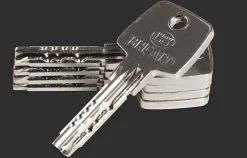 Cylindre débrayable Trial S 40x50^Bricard