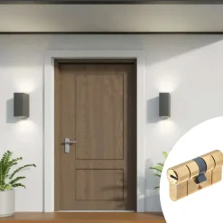 Cylindre de haute sécurité 30 x 30 mm-Vachette