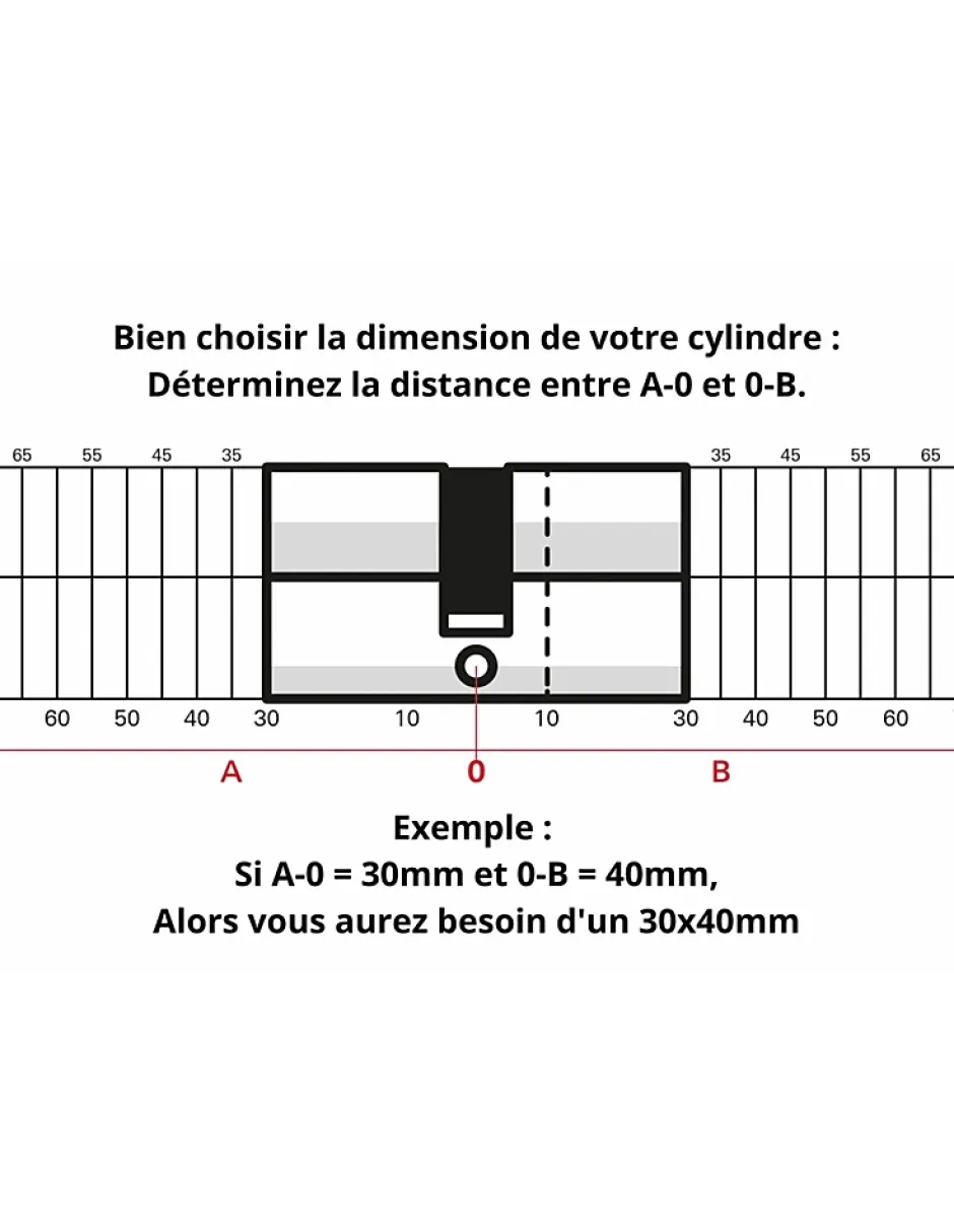 Cylindre de serrure à double entrée Tiger 6 Dynamic, 45x65mm, nickelé, anti-arrachement, anti-perçage, 5 clés -^SP Discount