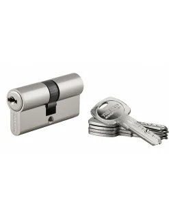 Cylindre de serrure double entrée Trafic 6, 30x30mm, nickel, anti-arrachement, anti-perçage, panneton réduit, 5 clés --Thirard Online
