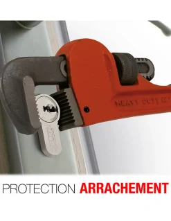 Cylindre de serrure double entrée, 40x60mm, anti-arrachement, nickel, 3 clés --Thirard