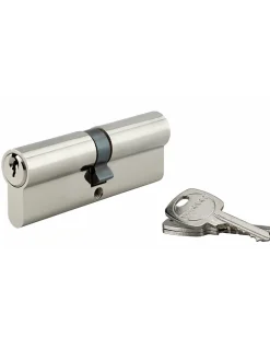Cylindre de serrure double entrée, 45x45mm, anti-arrachement, nickel, 3 clés -^Thirard