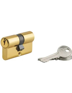 Cylindre de serrure double entrée Ecopro, 27x27mm, aluminium, anti-arrachement, 3 clés, laiton -^SP Clearance