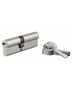 Cylindre de serrure double entrée Trafic 6, 40x50mm, nickel, anti-arrachement, anti-perçage, 5 clés -^Thirard Best