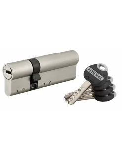 Cylindre de serrure double entrée Federal , 30x60mm, nickel, anti-arrachement, anti-perçage, 4 clés -^Thirard Sale