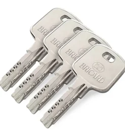 Cylindre serrure européen double entrée 30 x 40 mm debrayable 4 clés Serial S A2P 1 BRICARD^Autres Sale