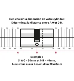 Cylindre serrure porte debrayable haute sécurité clés réversibles Carte propriété Trafic 6 Thirard Taille - 30x65mm^Autres Hot