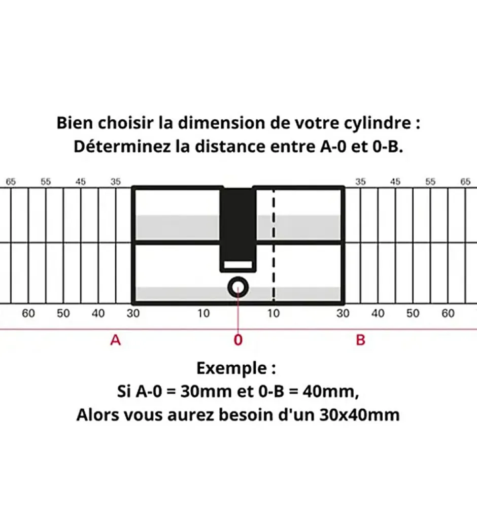 Cylindre serrure porte debrayable haute sécurité clés réversibles Carte propriété Trafic 6 Thirard Taille - 30x65mm^Autres Hot