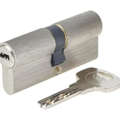 Cylindre Série 1000+ débrayable 35x35 mm nickelé - - 6 goupilles - anti-perçage et anti-crochetage^Yale New