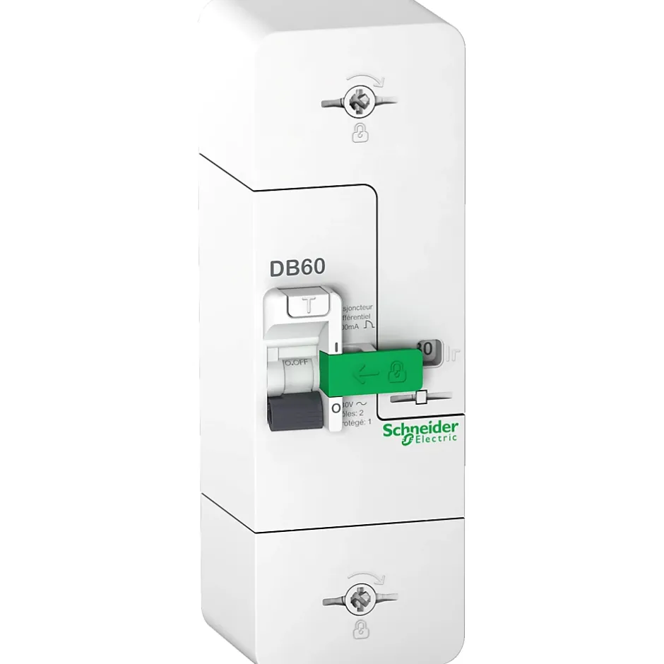 Disjoncteur branchement phase + neutre 60A fixe 500mA sélectif Resi9-Schneider Electric Discount