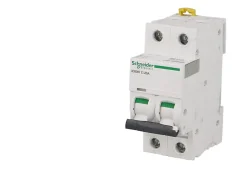 Disjoncteur modulaire bipolaire Schneider Acti9 iC60N 20A courbe D-Schneider Electric Outlet