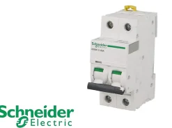 Disjoncteur modulaire bipolaire Schneider Acti9 iC60N 16A courbe D^Schneider Electric Outlet