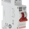 Disjoncteur PH+N 32A NF 4,5KA^Thomson Hot
