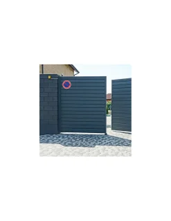 Disque de signalisation Sortie de voiture, polystyrène rigide adhésif, diamètre 180mm --Thirard Best