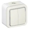 Double va et vient complet Plexo saillie blanc-Legrand Clearance