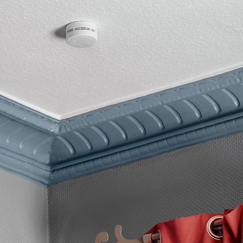 Détecteur de fumée 10 ans 5TC1292-7, lot de 2-Siemens Best