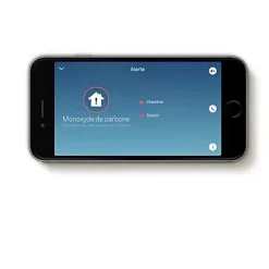 Détecteur de fumée et de monoxyde de carbone Nest Protect 2-Google Nest Best