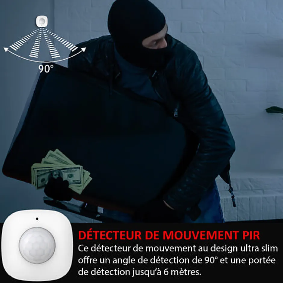 Détecteur de Mouvement pour alarme 868Mhz -ALARM-009^Kyf Sale