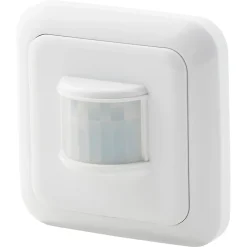 Détecteur de mouvement sans fil Audric-Blyss