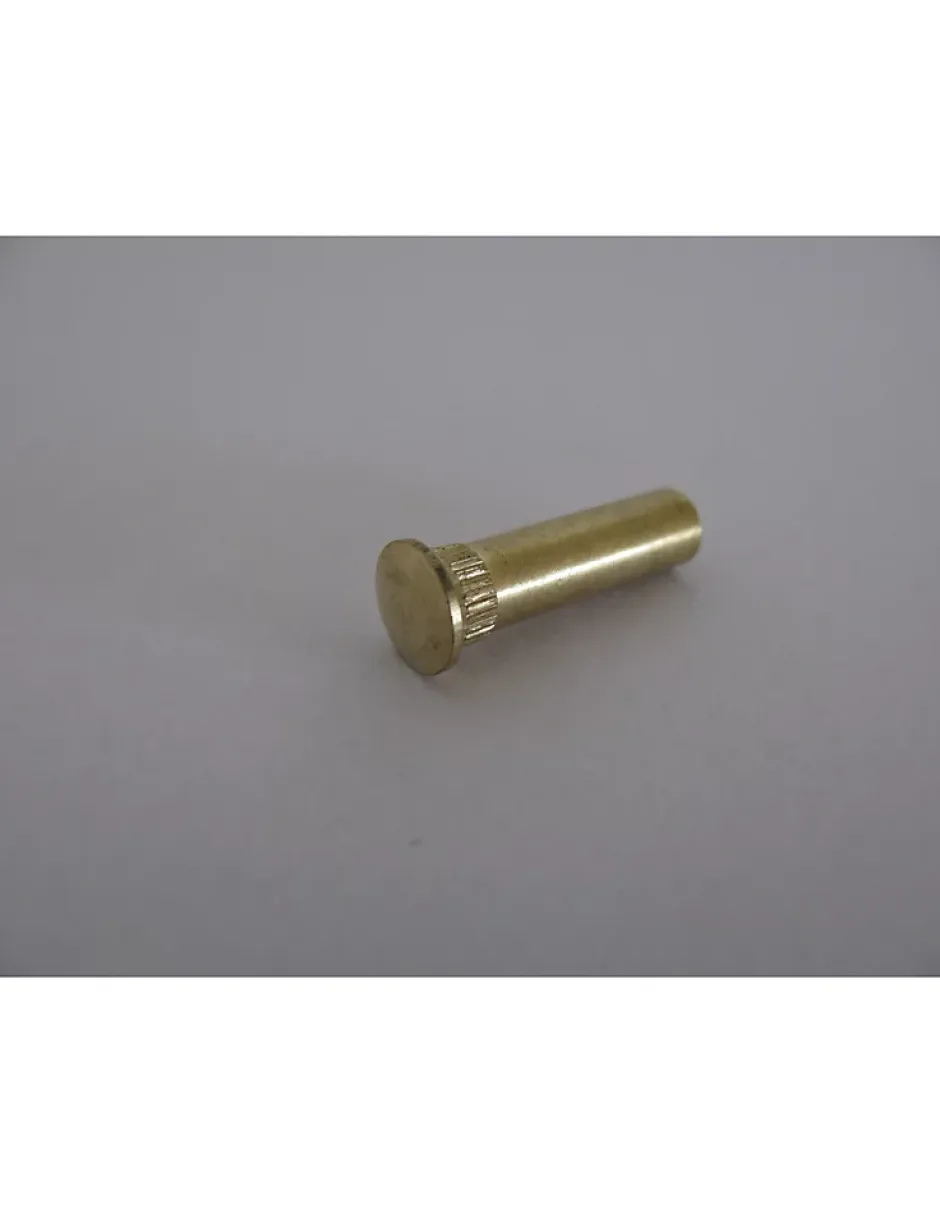 Ecrou Relieur Tête fraisée bombée TFB Moletée M4X13 5X20 Laiton nickelé - 100 pièces-Vis Express Discount