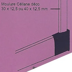 Embout sabot gauche pour plinthe CELIANE Déco blanc 82 x 12,5 mm^Legrand