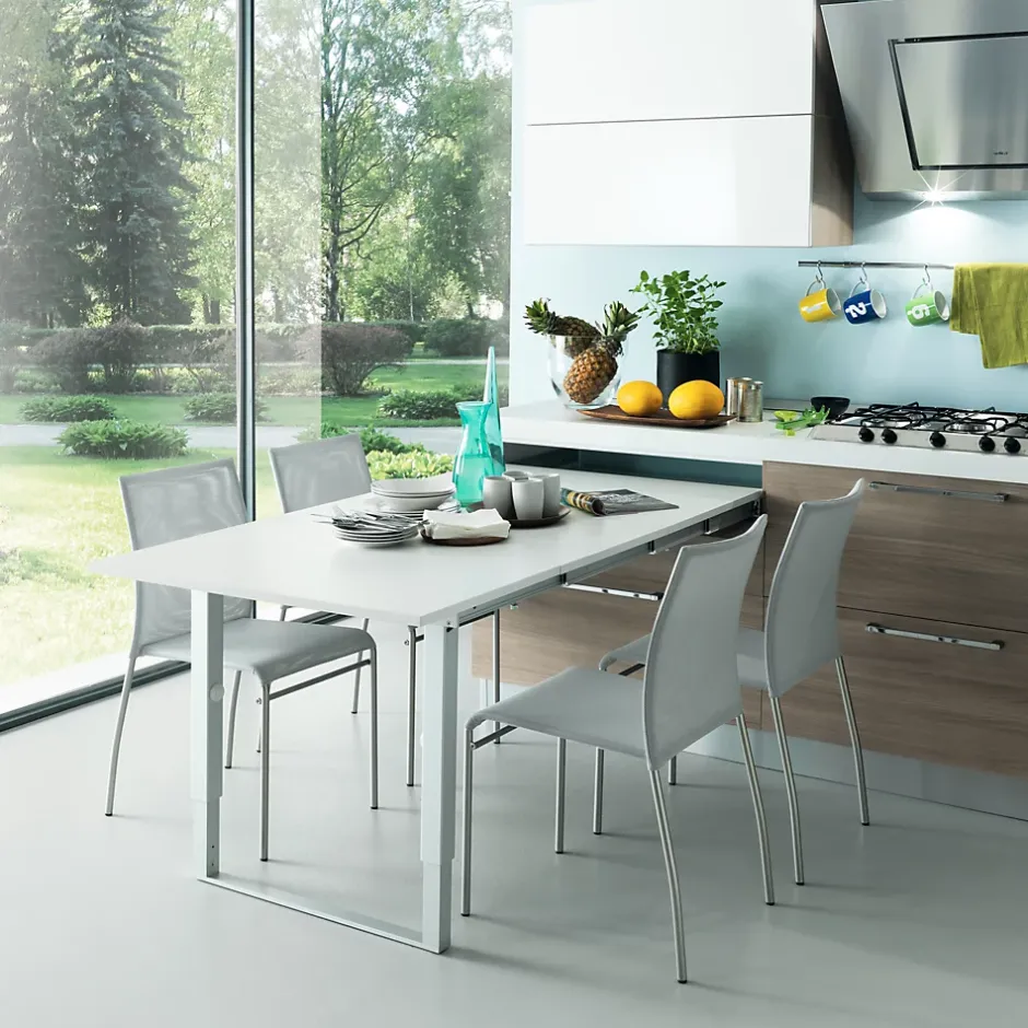 Emuca Coulisses pour table à rallonge Party, Aluminium, Inox anodisé^ Clearance