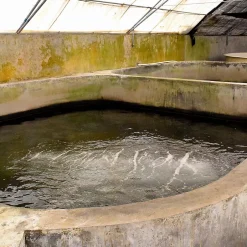 Enduit d'étanchéité Piscine Cuve Hors Sol - ARCACIM S2 AQUA. Gris Marron Proche - RAL 7013 - 4 kg -^Arcane Industries Hot