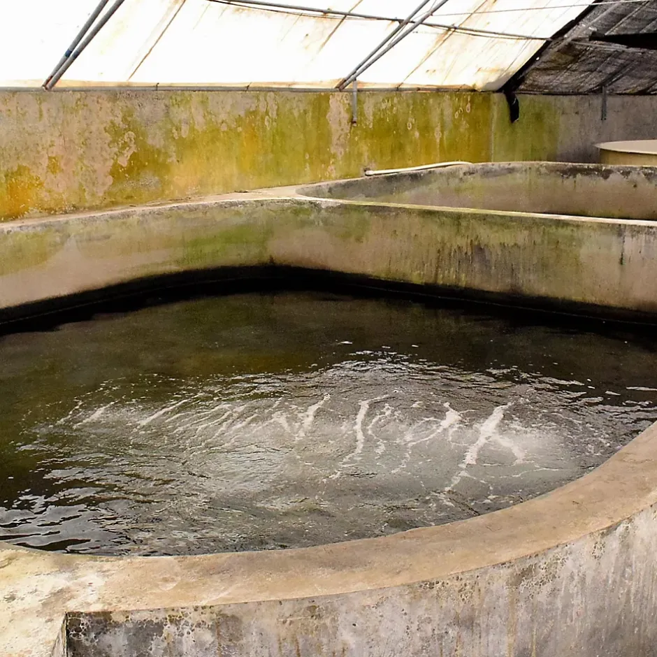 Enduit d'étanchéité Piscine Cuve Hors Sol - ARCACIM S2 AQUA. Gris Marron Proche - RAL 7013 - 20 kg -^Arcane Industries Hot