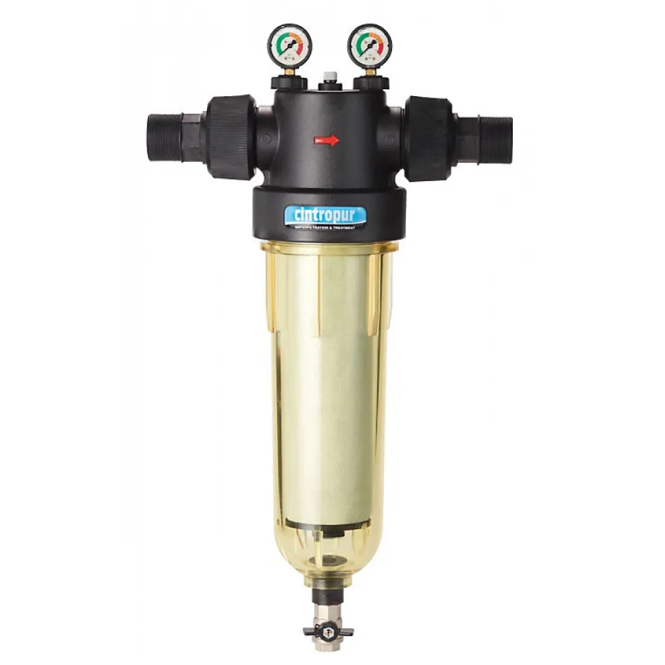 Filtre 131/50 2" NW500^Cintropur Discount