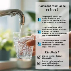 Filtre charbon actif en coquille de noix de coco 10'' ECOSOFT lot de 4^Sinea Best