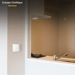 - Interrupteur Sans Fil ni Pile + Douille E27 - Contrôle à Distance 100 m - Énergie Cinétique - IP44 - Installation Facile^Fishtec New