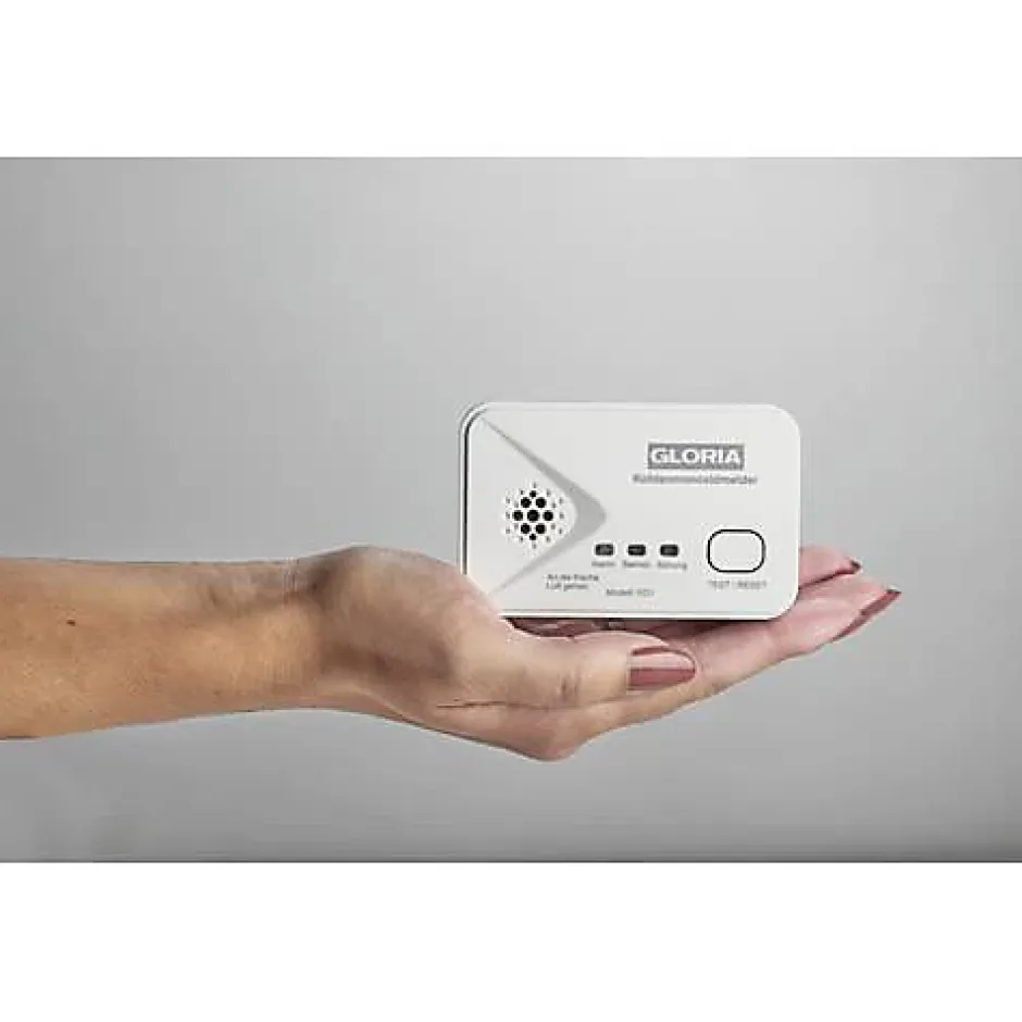 KO1 détecteur de monoxyde de carbone à piles, 10 ans, 2 piles AA incluses^Gloria Best